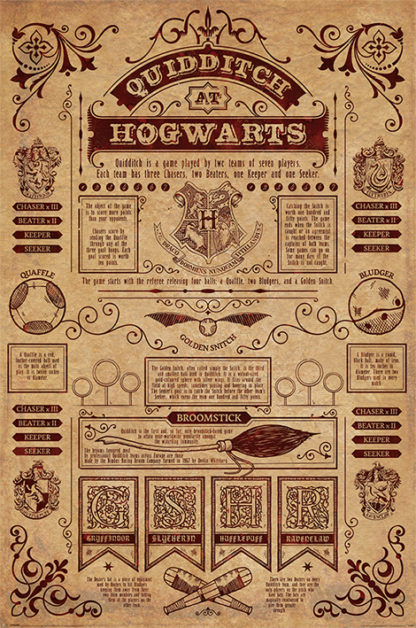 Poster – Harry Potter  – Quidditch At Hogwarts – 61×91.5cm