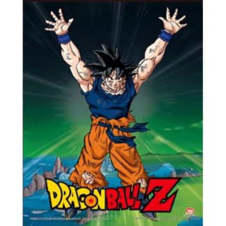 Cadre 3D – Power Levels Increased – Dragon Ball