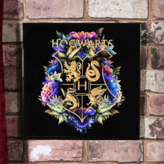 Cadre – Harry Potter – Hogwarts Fine Oddities – 32 cm