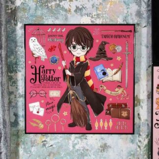 Cadre – Harry Potter – Harry Potter – 32 cm