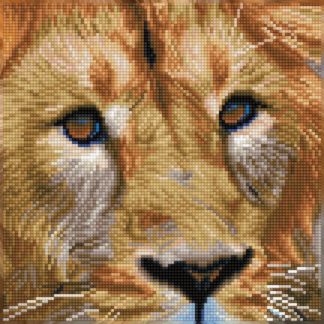 Dd broderie diamant serengeti magic (lion) 30.5×30.5cm