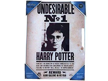 Poster avec Cadre – Harry Potter – Avis de recherche – 30x40cm