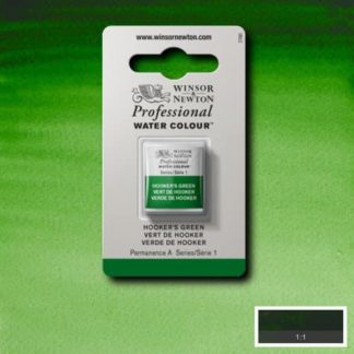 W&n pro couleur aquarelle 1/2 godet 311 vert hooker