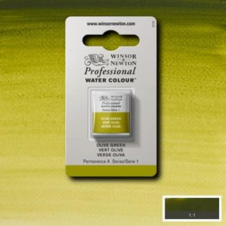 W&N Pro Couleur Aquarelle 1/2 Godet 447 Vert Olive