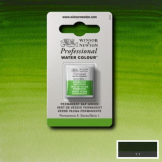 W&N Pro Couleur Aquarelle 1/2 Godet 503 Vert Vessie Permanent