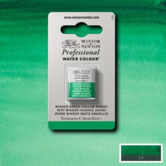 W&n pro couleur aquarelle 1/2 godet 721 vert winsor