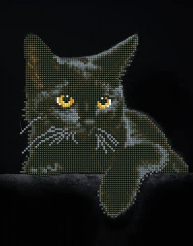 Dd broderie diamant midnight cat (chat noir)