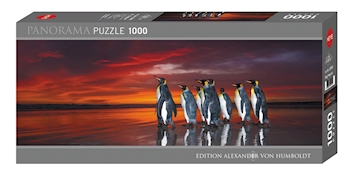 King Penguins Panorama 1000 Teile