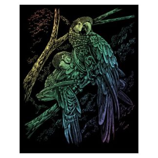 R&L Gravures D’Art Std Arc-En-Ciel Oiseaux Exotiques 21.3X29.5Cm