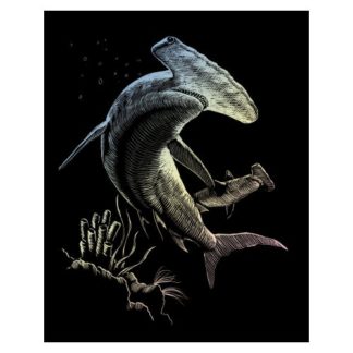 R&L Gravures D’Art Std Holo Requin Marteau 21.3X29.5Cm