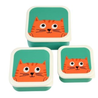 Snack Boxes set of 3 Chester the Cat