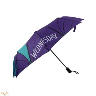 Cinereplicas Parapluie – Mercredi – Vitrail