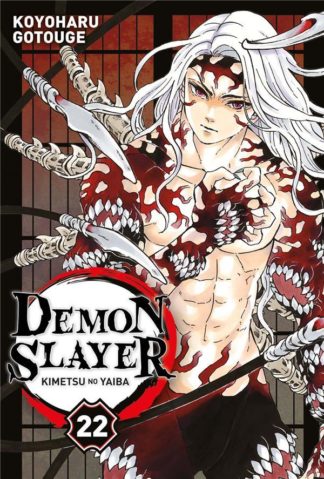 Panini Demon slayer : Kimetsu no yaiba. Tome 22