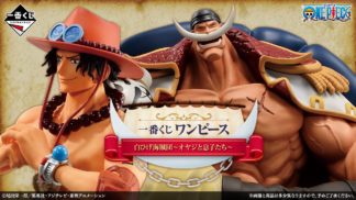 Ichibankuji – Whitebeard Pirates – One Piece – Set de 80pces