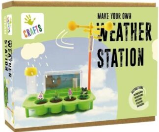 Andreu Toys Make your own weather station